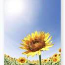 不能花小孩的钱