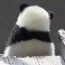唐唐