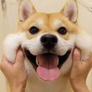 我爱一根㑪