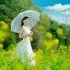 紫陌芊芊