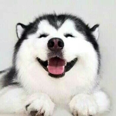 天下御兔