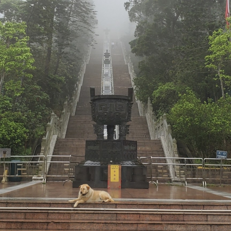 怪東