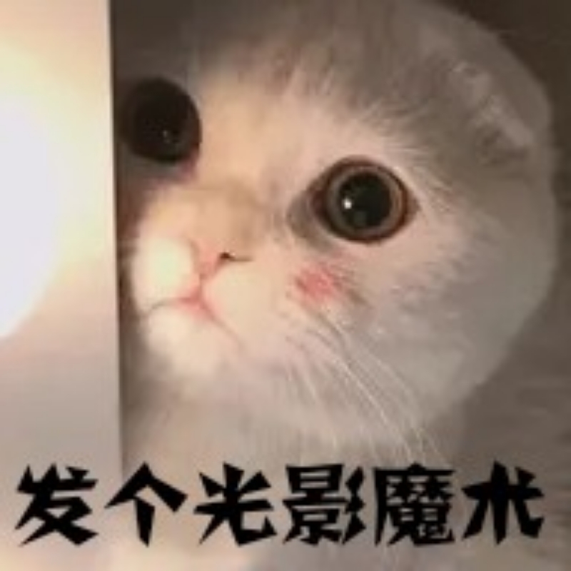 蜜糖果冻猫