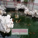 晓东