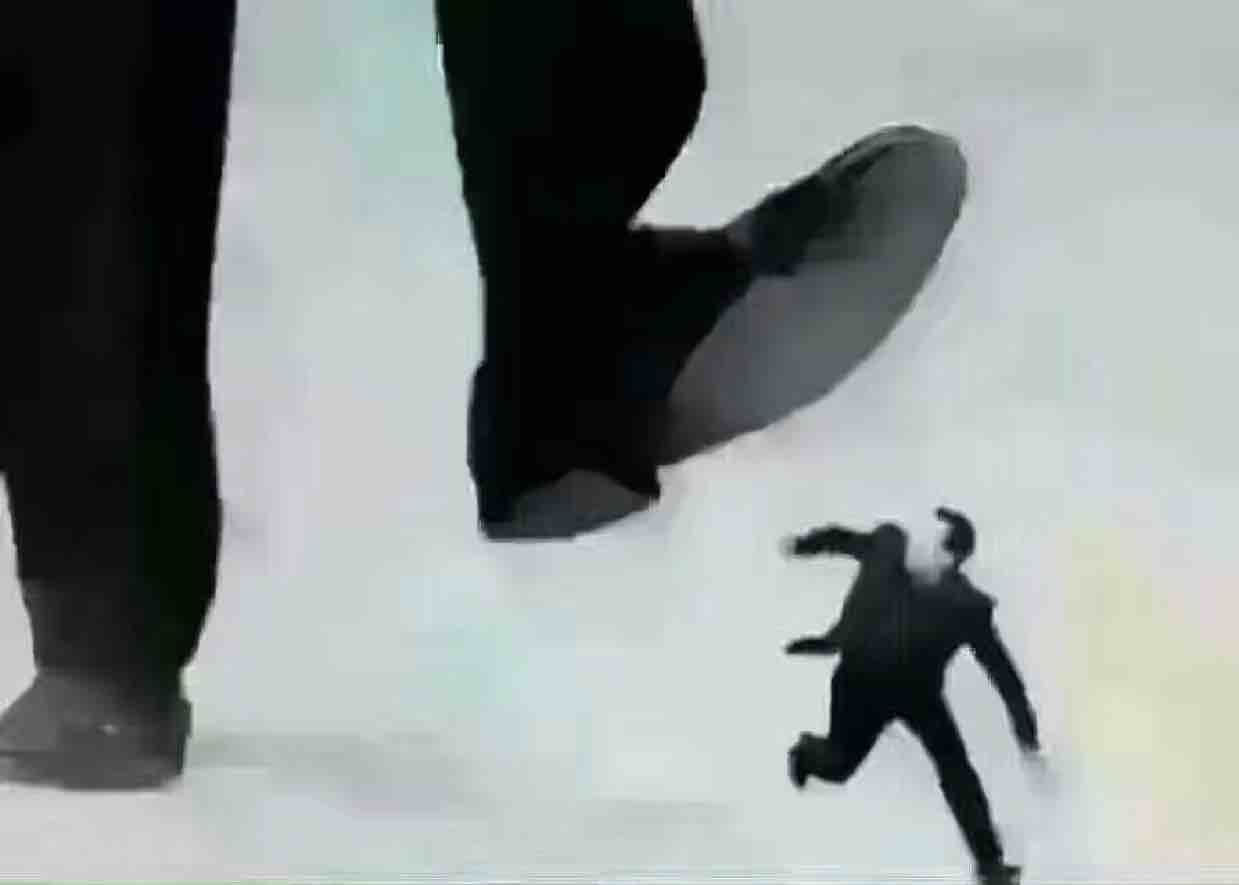 辉煌霍