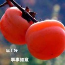  貴       州