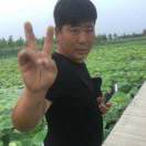 东北勇哥