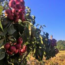 听遍人间，世态炎凉