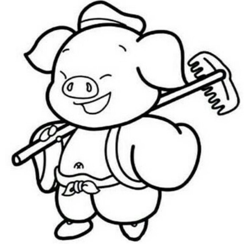 漫游天下之猪哥哥