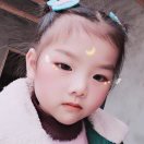 。  诺   。