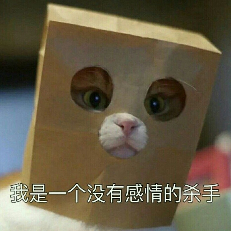 大海