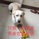 热心市民小农