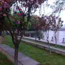 针灸推拿肖医生