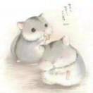 设计师｜小马
