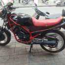 yym528123