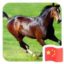 木地板宋世雄18983455549