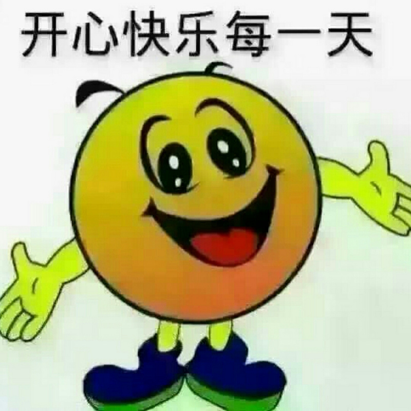 琴