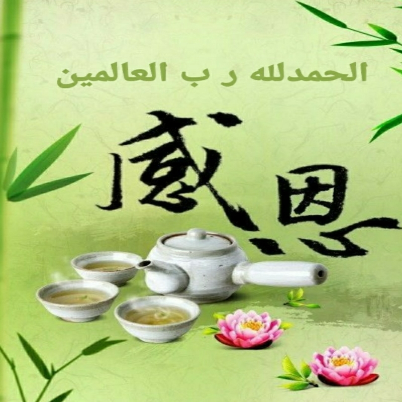 A感谢有您