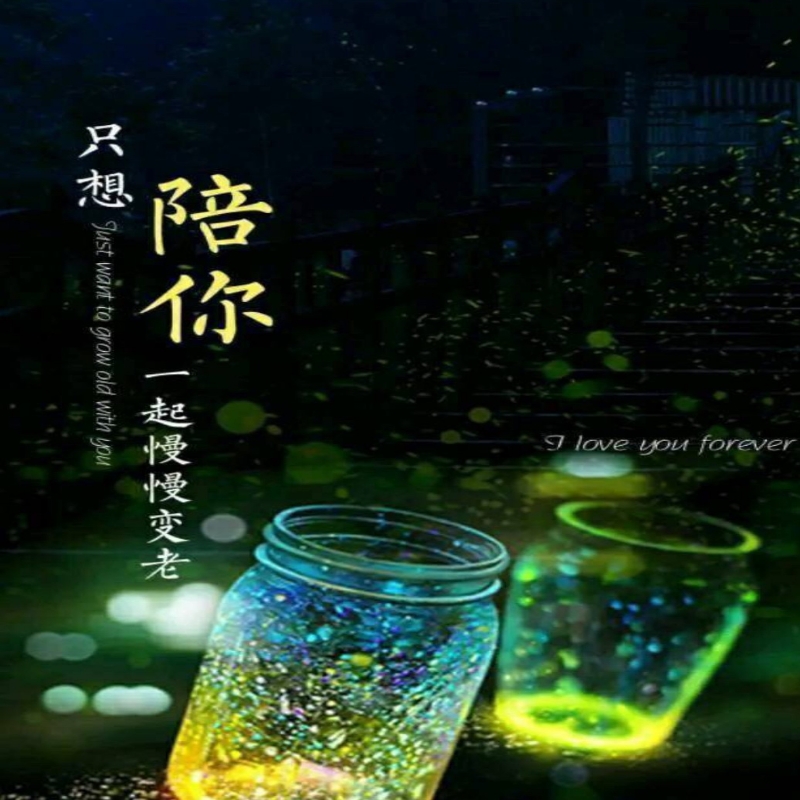 戈听