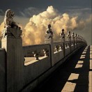 陈维祎