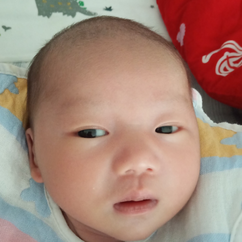 余起少