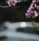 人生若只如初见