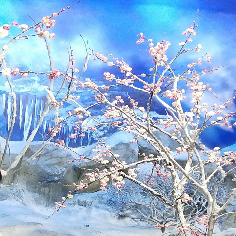 黄新灵