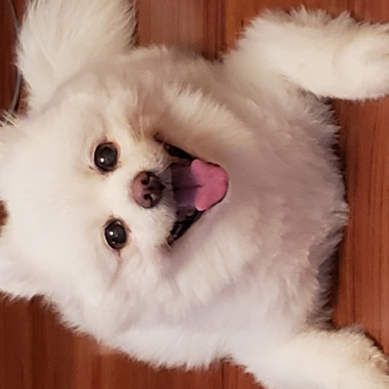风吹麦浪
