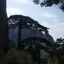 令狐匆
