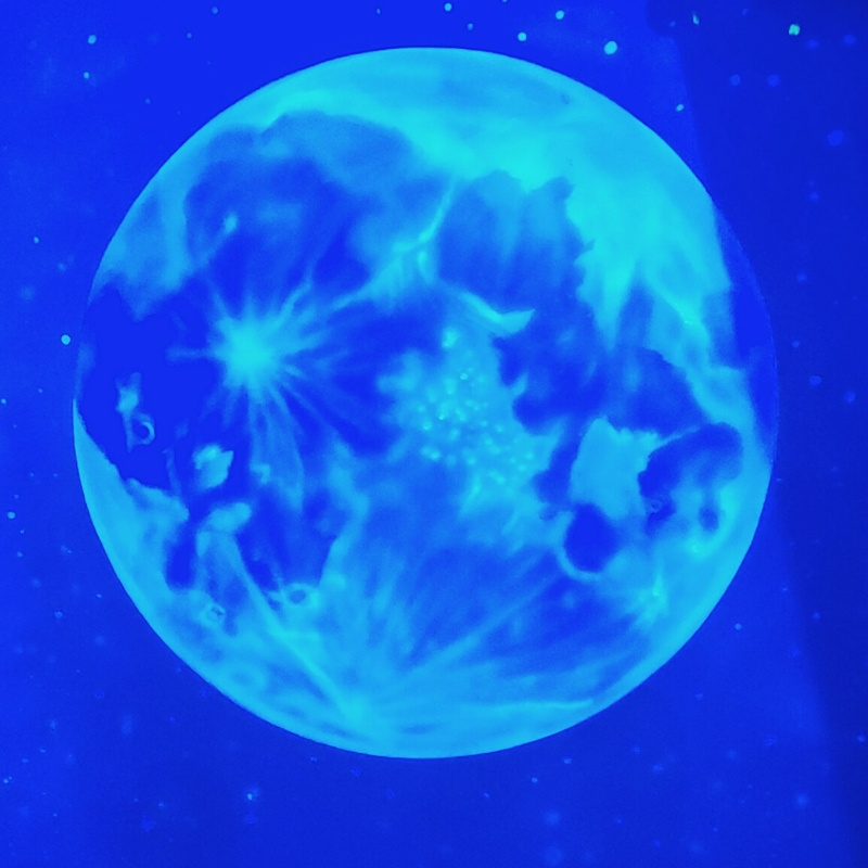 海豚の期待