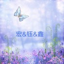 宏