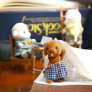 浅浅玫瑰淡淡香