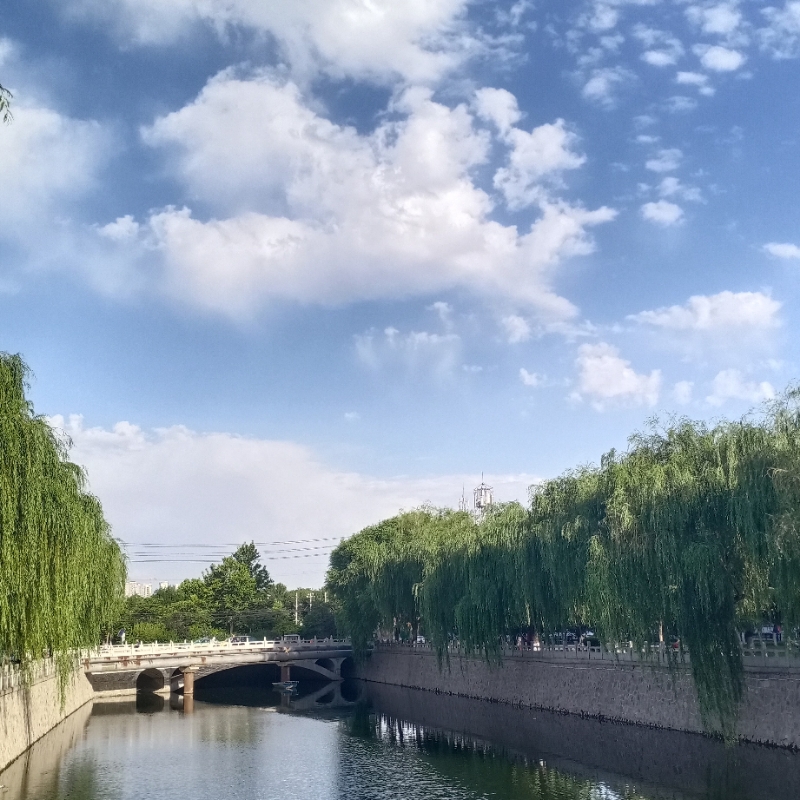 XYW北冰洋