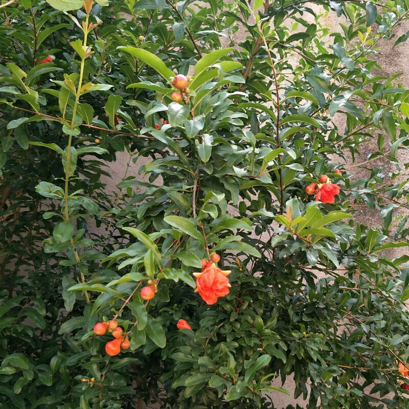 雨后彩虹