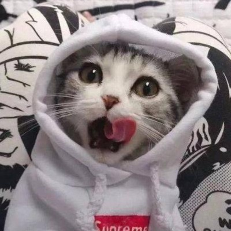 糊涂上斯