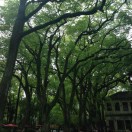 习惯就好