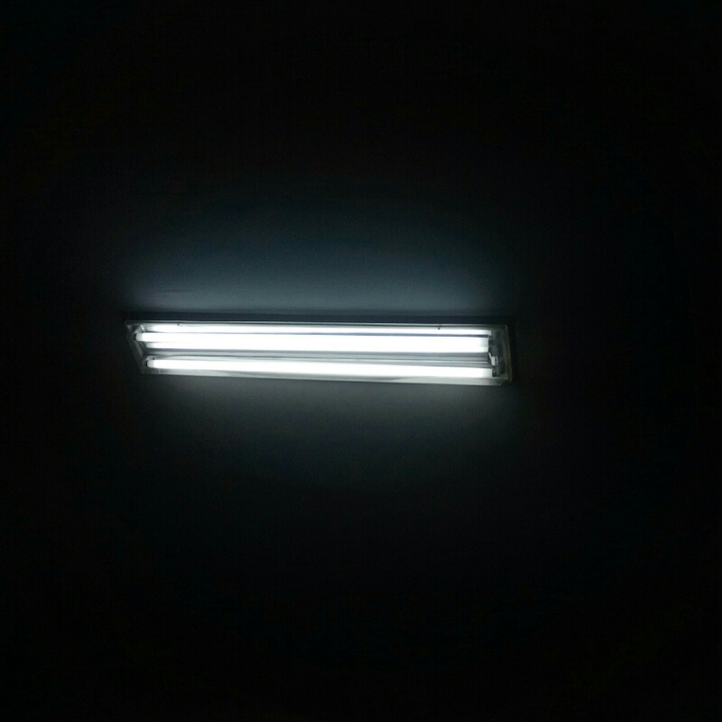 孤狼