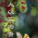 坐在坟头指挥?