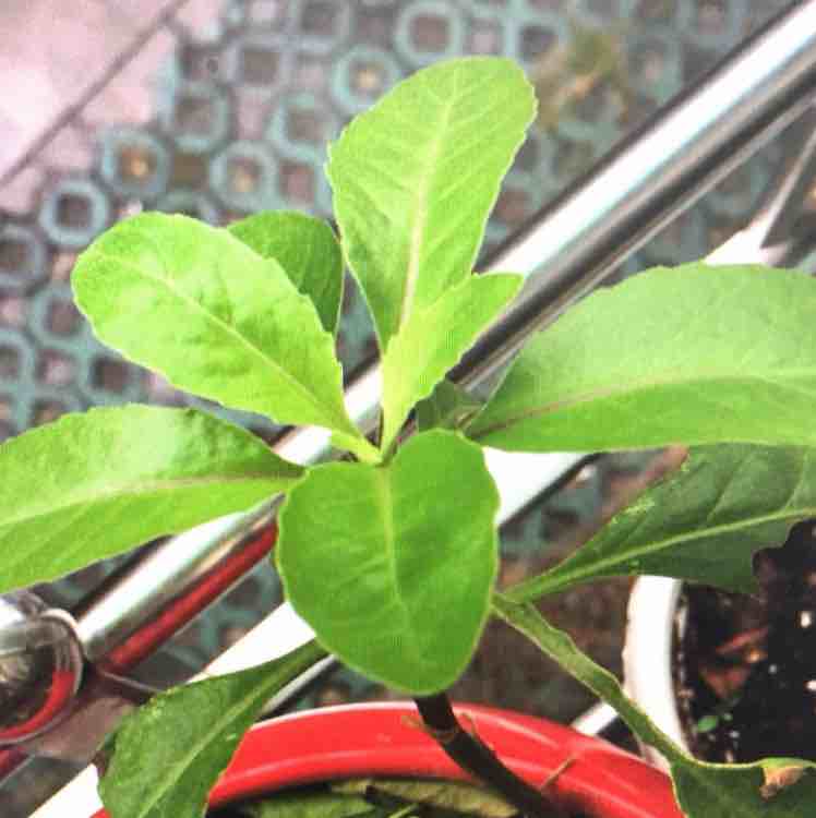 博尔环保徐荣