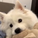 小仔做船头