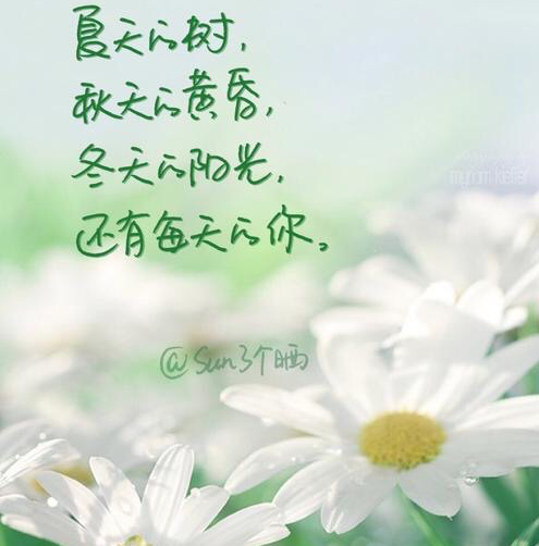 花辞树?