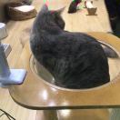 以勒