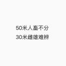 半瞎