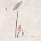 玄觉十方