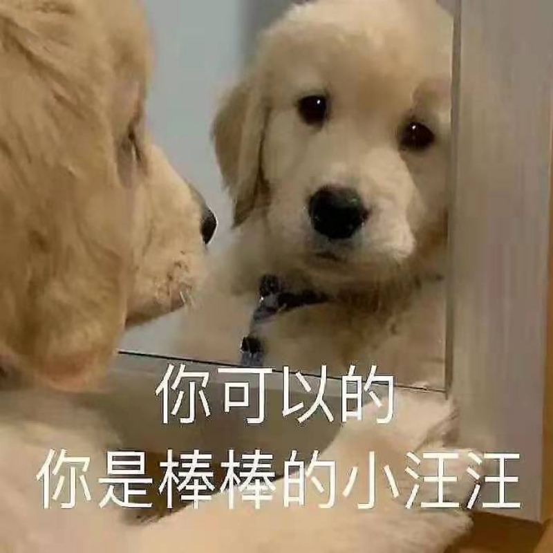 梦家美女安生