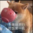 刚阴宁