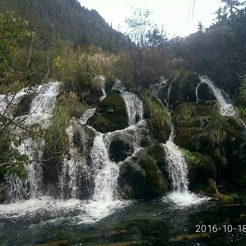 蛋.炒.饭