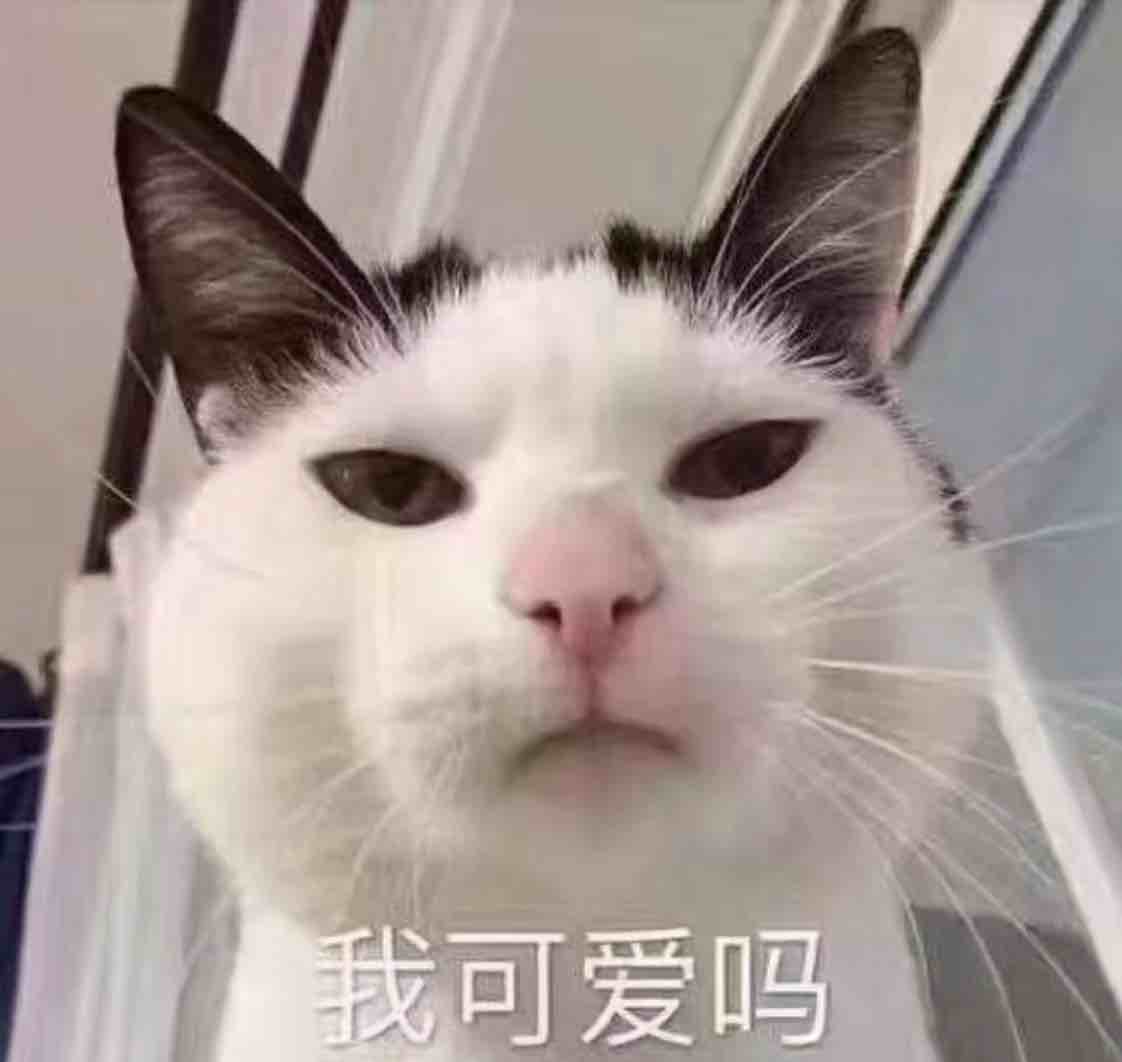 一月初三