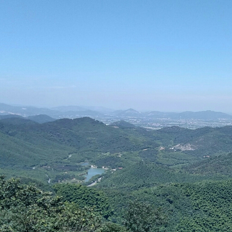 shenymzj