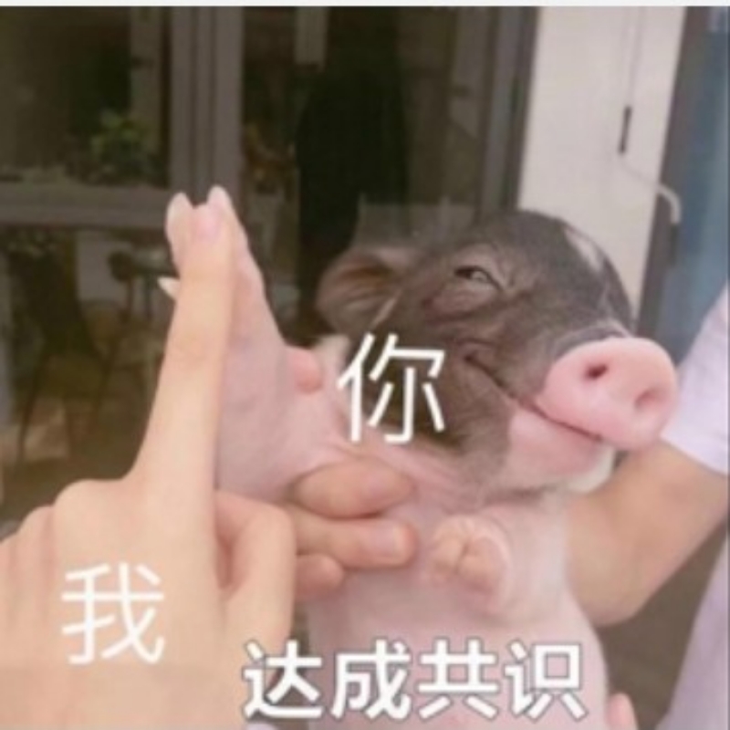 雾岛湾